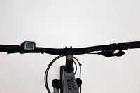 HAIBIKE Hardnine 4 2021 L