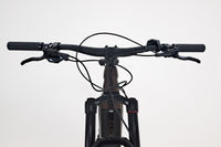 GIANT Trance X E+3 Pro 29 2021 M (1230)