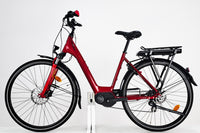 GITANE Organ E-Central Rouge (5S/5M) 1471 1439