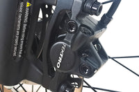 GIANT Liv ROV E+ 2021 (1479)
