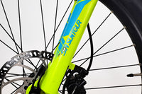 GIANT Dirt E+3 2018 M