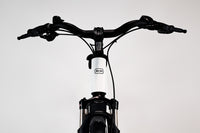Riese & Müller Roadster Mixte Touring Blanc 1801