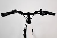 Riese & Müller Roadster Mixte Touring Blanc 1801
