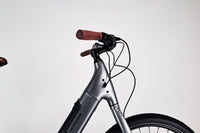 Cannondale Adventure Neo 4 Gris