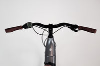Cannondale Adventure Neo 4 Gris