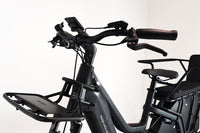 Riese & Müller Multicharger2 Mixte GT Family 1821