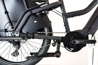 Riese & Müller Multicharger2 Mixte GT Family 1821