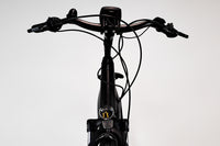 TREK District+ 6 2022 L 1953