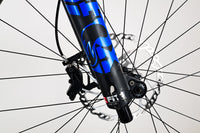GIANT Trance E+ Pro 2020 L 1955