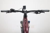 BERGAMONT E-Revox Premium Pro FMN EQ 2022 T.S