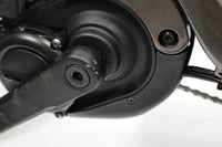 LIV Embolden E+ 1 2022 T.L
