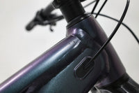GIANT Reign 1 2024 T.M