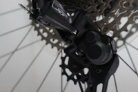 GIANT Trance X E+2 PRO 29 2021 T.M