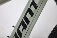 GIANT Stance E+ 1 2021 T.M