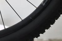 GIANT Reign 1 2024 T.M