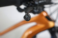 HAIBIKE ALLMTN CF 6 2022 T.XL