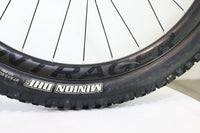 Trek Remedy 9.8 2019 ML 2980