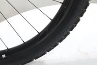 GIANT Trance X 29 2021 T.L