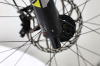 YT DECOY CF Pro Race 2019 T.L