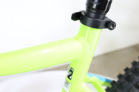 GIANT Dirt E+2 Pro 2019 L 3092