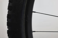 GIANT Reign E+ 2 Pro 2022 T.L