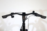GIANT DailyTour E+ 2 GTS 2021 T.XL