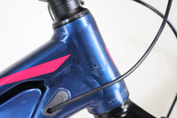 GIANT LIV Vall-E+3 Power 2019 T.S 245765