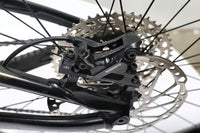 GIANT Reign 2 2021 T.L