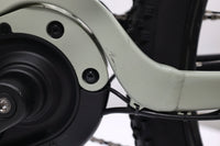 GIANT Stance E+ 1 2021 T.M