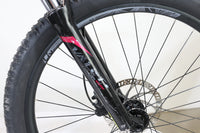 GIANT LIV Vall-E+3 Power 2019 T.S 245765