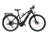 LIV Amiti E+ 2D Rosewood 2022 T.M