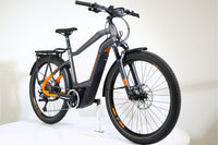 HAIBIKE Trekking 10 2022 T.S