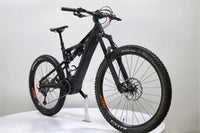 KTM Prowler Master 2020 T.S