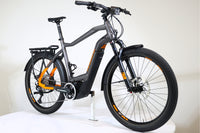 HAIBIKE Trekking 10 2022 T.L