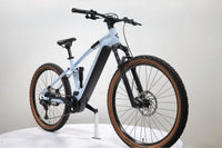 CUBE Stereo Hybrid 120 Pro 2022 T.L
