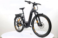 HAIBIKE Trekking 10 Low 2022 T.M