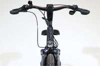 GIANT DailyTour E+ 2 GTS 2021 T.XL