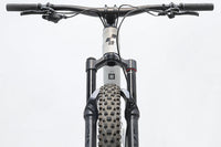 CUBE STEREO ONE55 C:62 RACE 29 2023 T.L