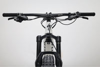 SPECIALIZED Turbo Levo Comp 2019 T.M