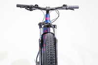 GIANT LIV Vall-E+3 Power 2019 T.S 245765