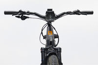 HAIBIKE Trekking 10 Low 2022 T.M