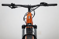 HAIBIKE Alltrack 6 29 2023 T.L