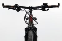 GIANT Explore E+ 1 Pro GTS 2021 T.L