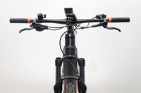 KTM Macina ALP LTD64 2024 T.L