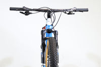 Cube AMS 100 C:68 SL Teamline 2021 T.L 3002