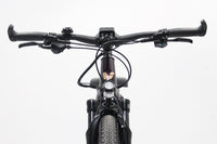 LIV Amiti E+ 2D Rosewood 2022 T.M