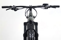 HAIBIKE AllTrail 5 2022 T.M 254302