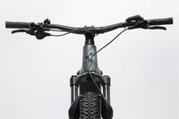 CUBE Stereo Hybrid 120 Pro 750 2024 T.M