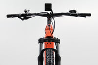 TREK Powerfly 4 2023 T.M
