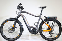 HAIBIKE Trekking 10 2022 T.L